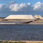 Le Saline Conti Vecchi: Un Esempio di Archeologia Industriale e Natura, alle Porte di Cagliari