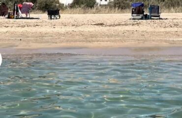 6e4cfc8c-d4e8-471f-93d5-567e5dd4741b