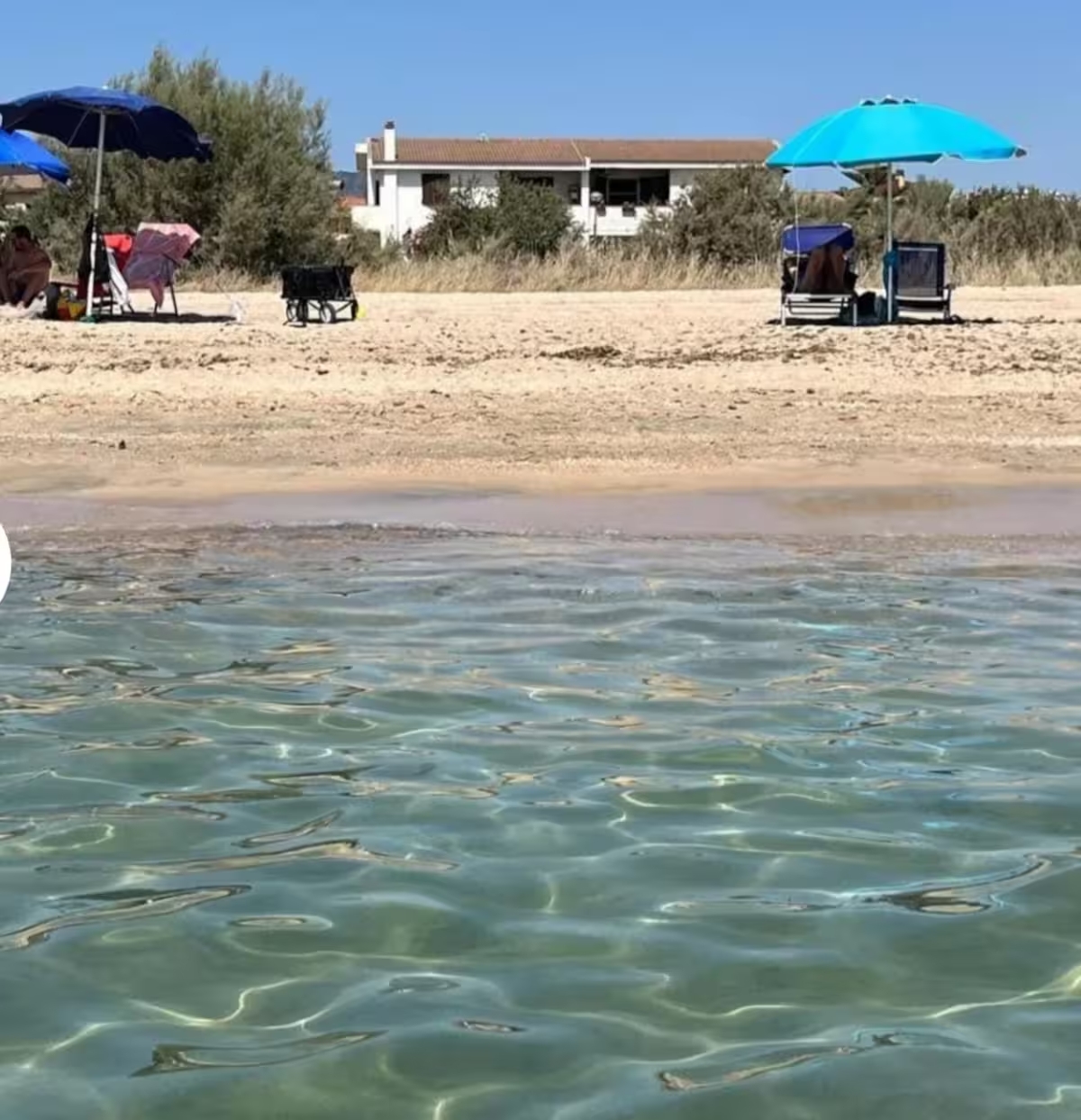 6e4cfc8c-d4e8-471f-93d5-567e5dd4741b